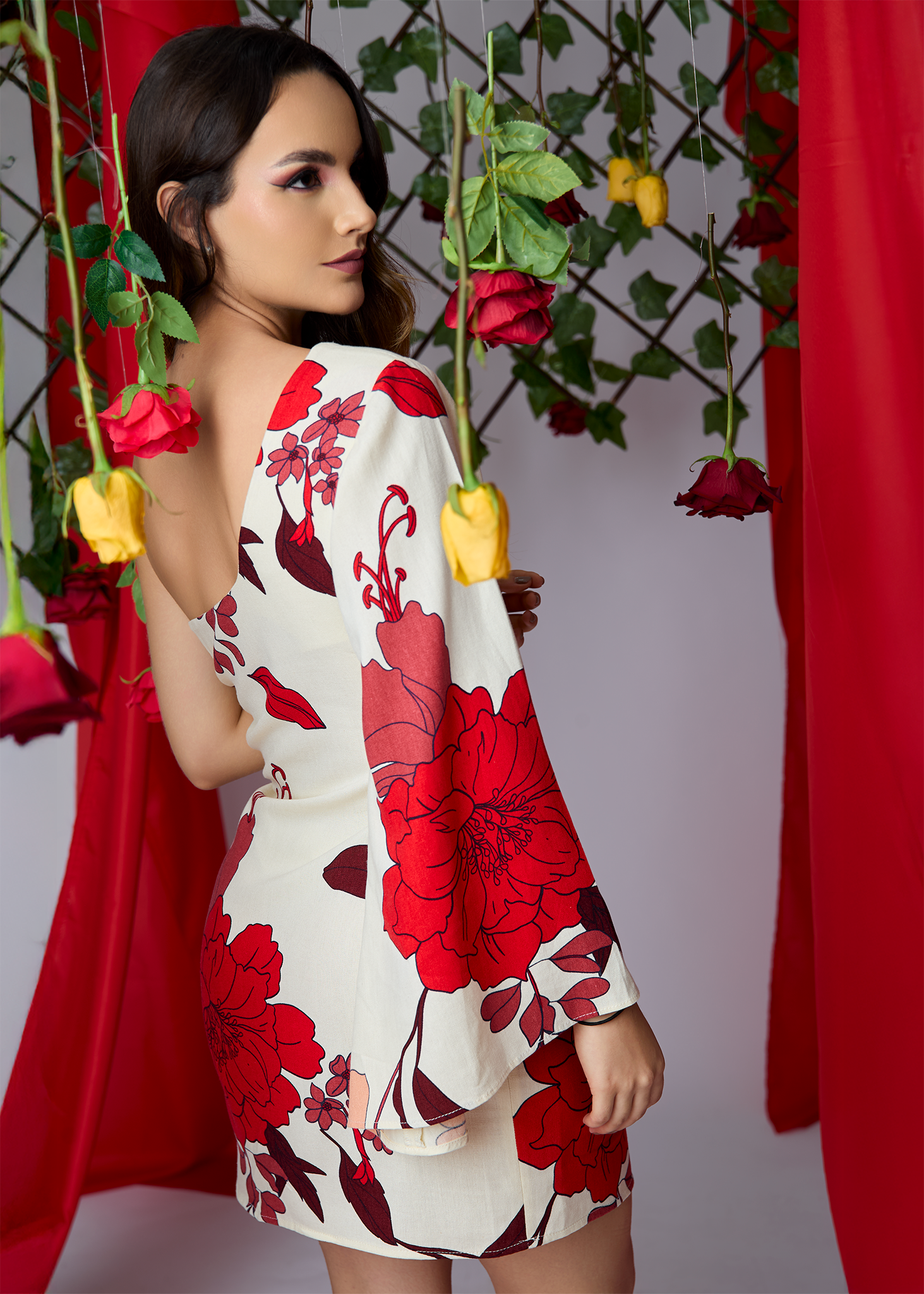 Vestido Aurora